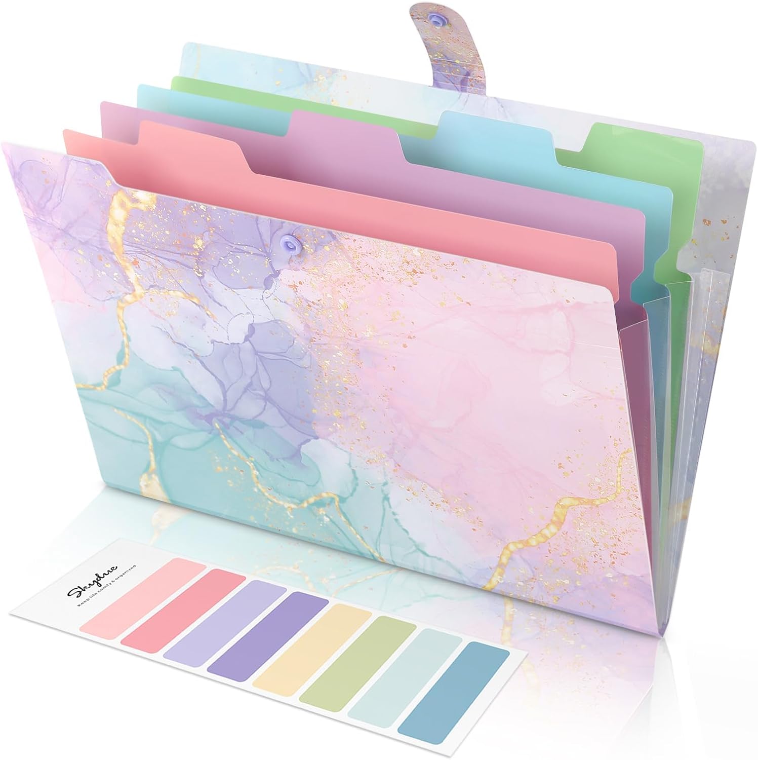 5-Pocket Expanding File Folder – обзор и цена Document Organizer Folder
